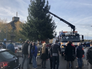 Aufstellen des Weihnachtsbaumes 2019