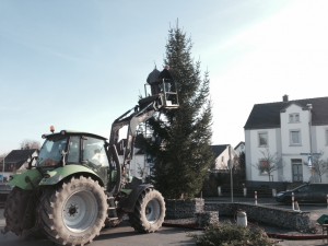 20141129_Weihnachtsbaum aufstellen Kalthof_10